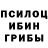 Галлюциногенные грибы мицелий Gef Novov