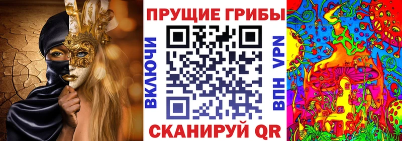 Купить где  Ялта  Псилоцибиновые грибы мицелий 